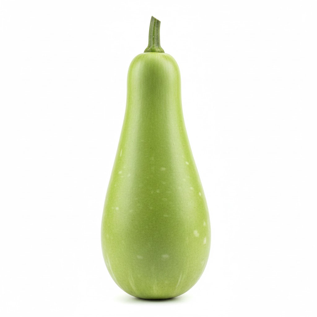 Bottle Gourd (Sorrakai / Long Dhudhi)