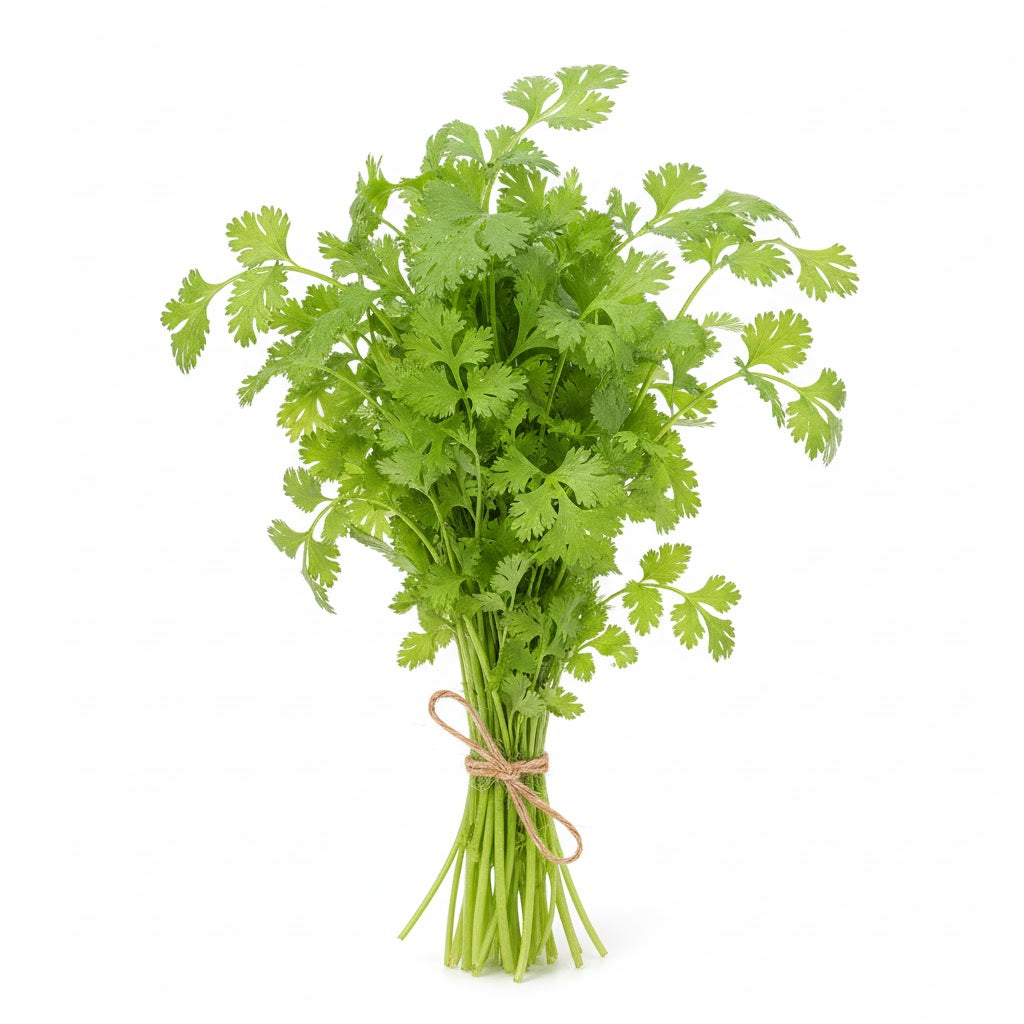 Coriander Leaves