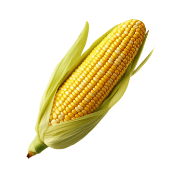 Fresh Corn (2 Pcs)