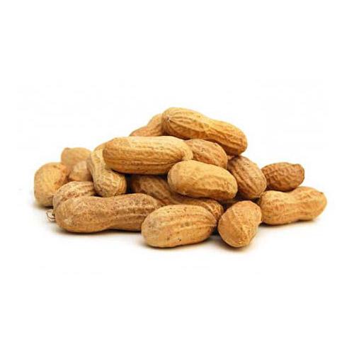 Groundnut (Monkey Peanut)