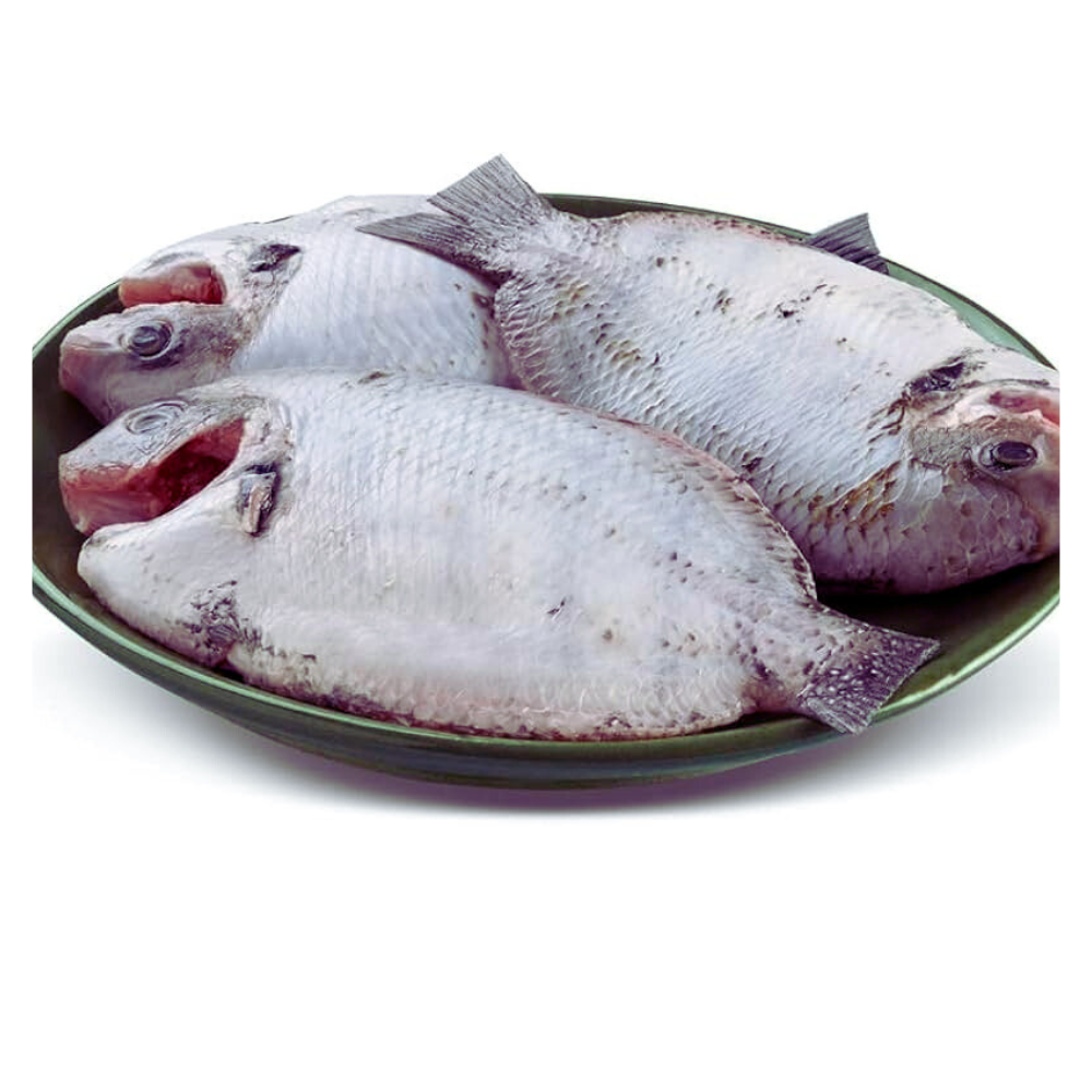 Fresh Pearl Spot (Karimeen) Fish