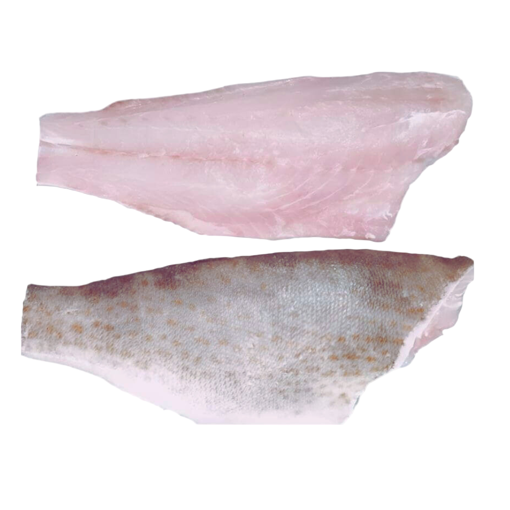 Fresh Grouper (Hamoor) Fish
