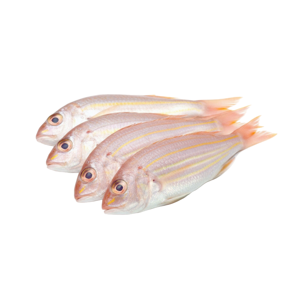 Fresh Kilimeen (Threadfin Bream) Fish