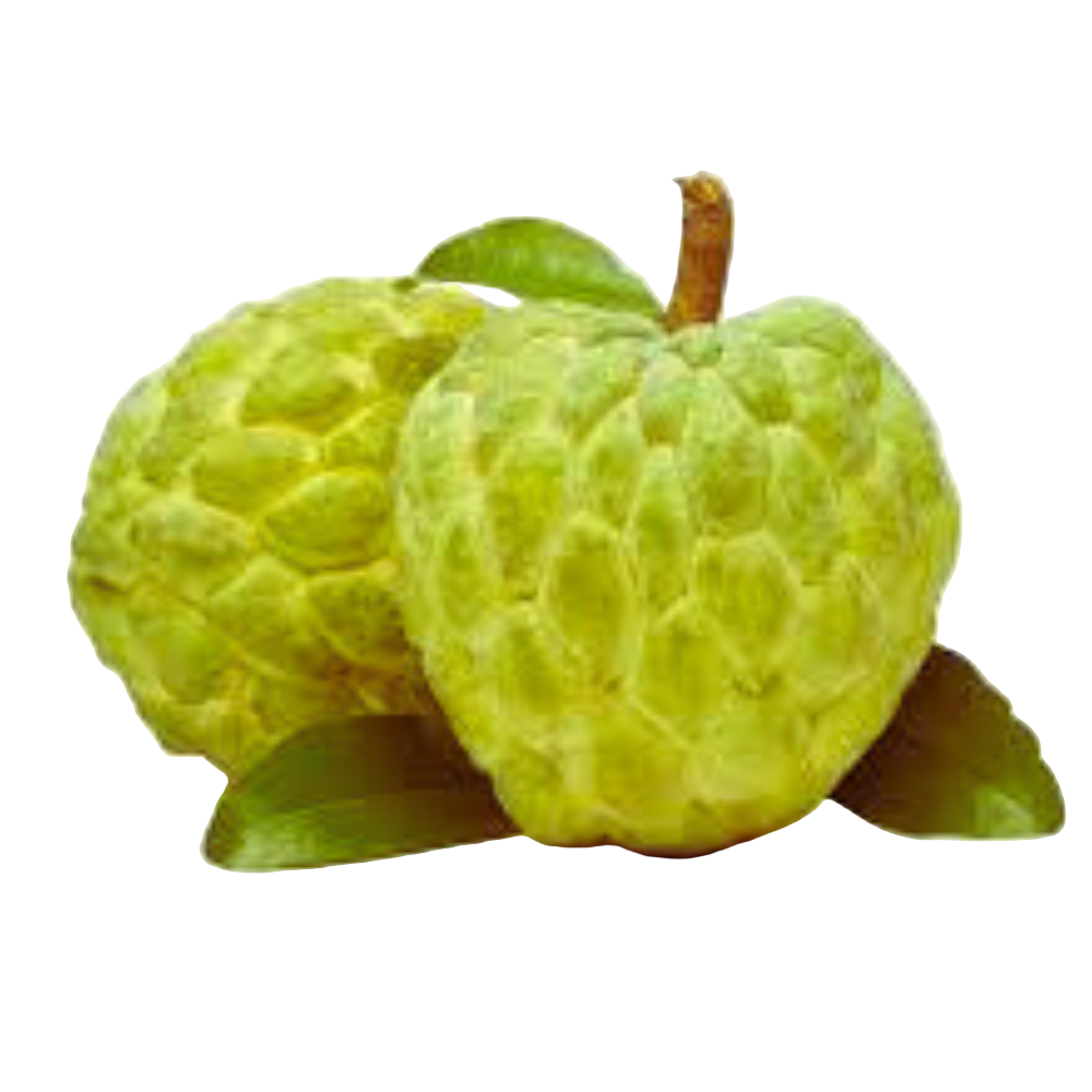 Custard Apple