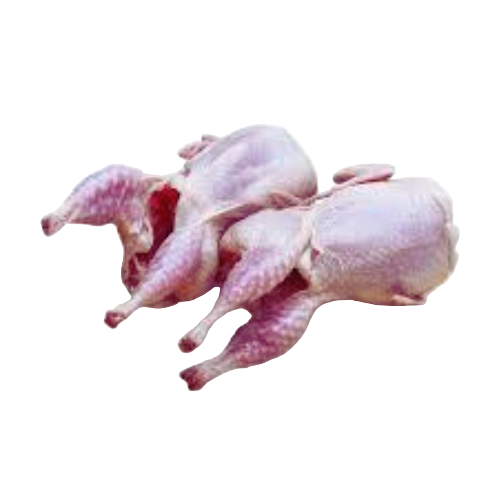 Quail (2 Pcs)