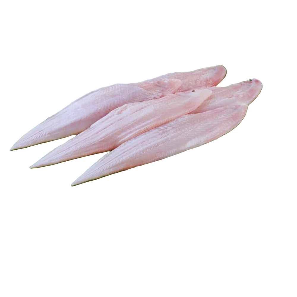 Fresh Sole Fish (Manthal)