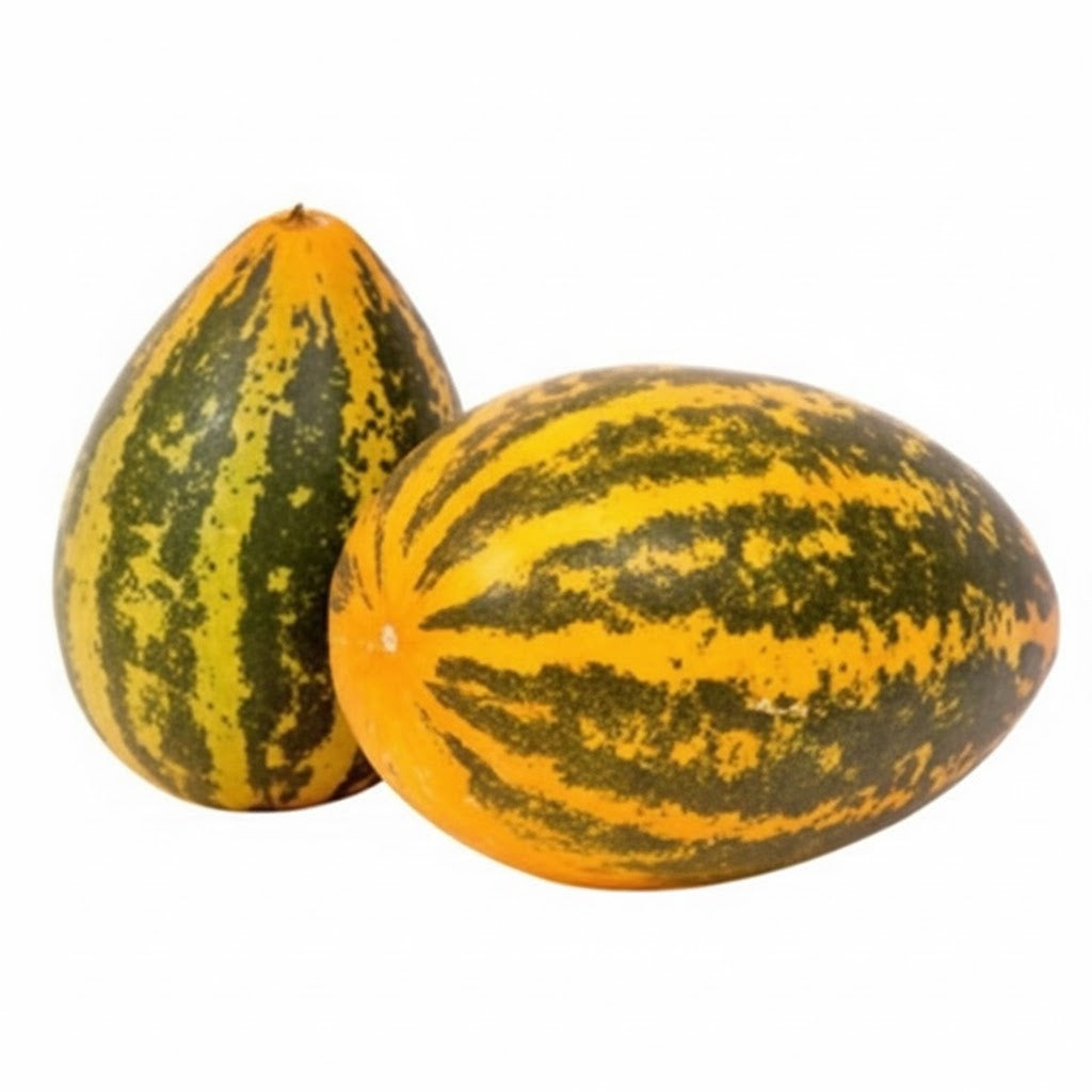 Sambar Cucumber Kerala (Yellow cucumber / Mogem) (500-700G 1 Pc)