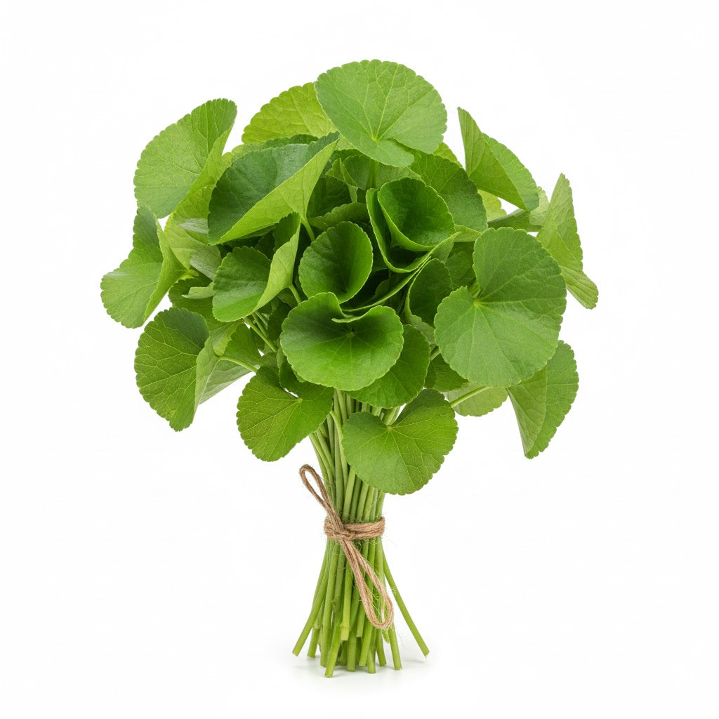 Vallarai (Centella Asiatica) Leaves (1 Bunch)