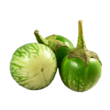 Aubergine Small (Round Ravaya / Green Aubergine)