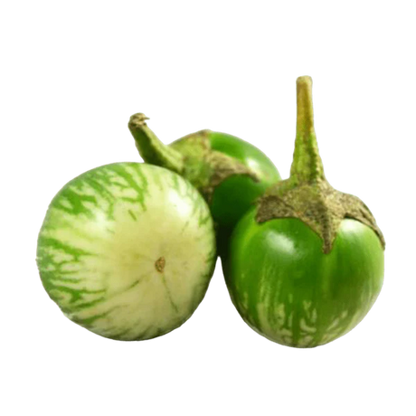 Aubergine Small (Round Ravaya / Green Aubergine)
