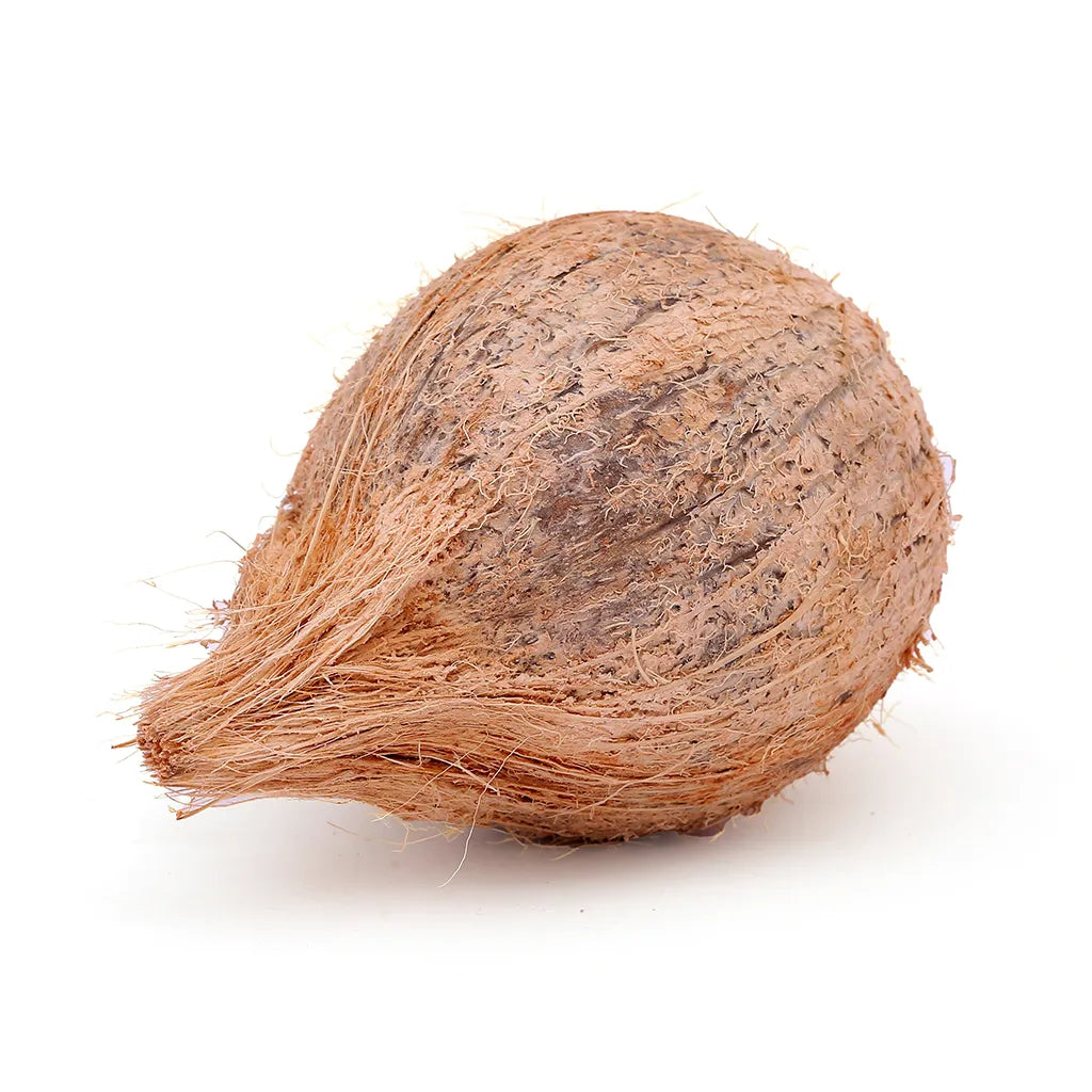 Coconut (Thengai) (1 Pc)