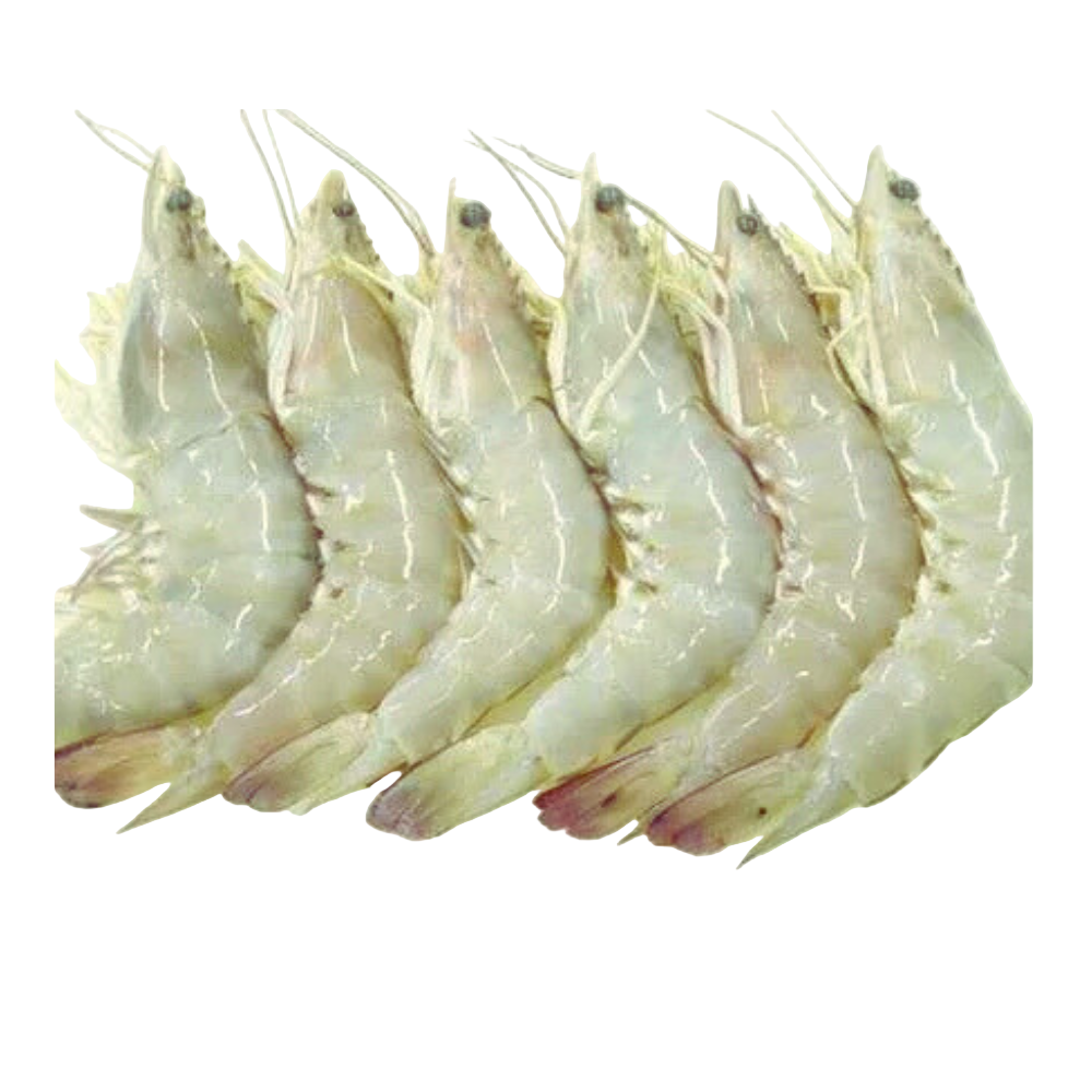 Fresh Prawn