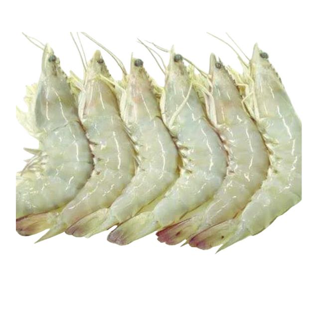Fresh Prawn