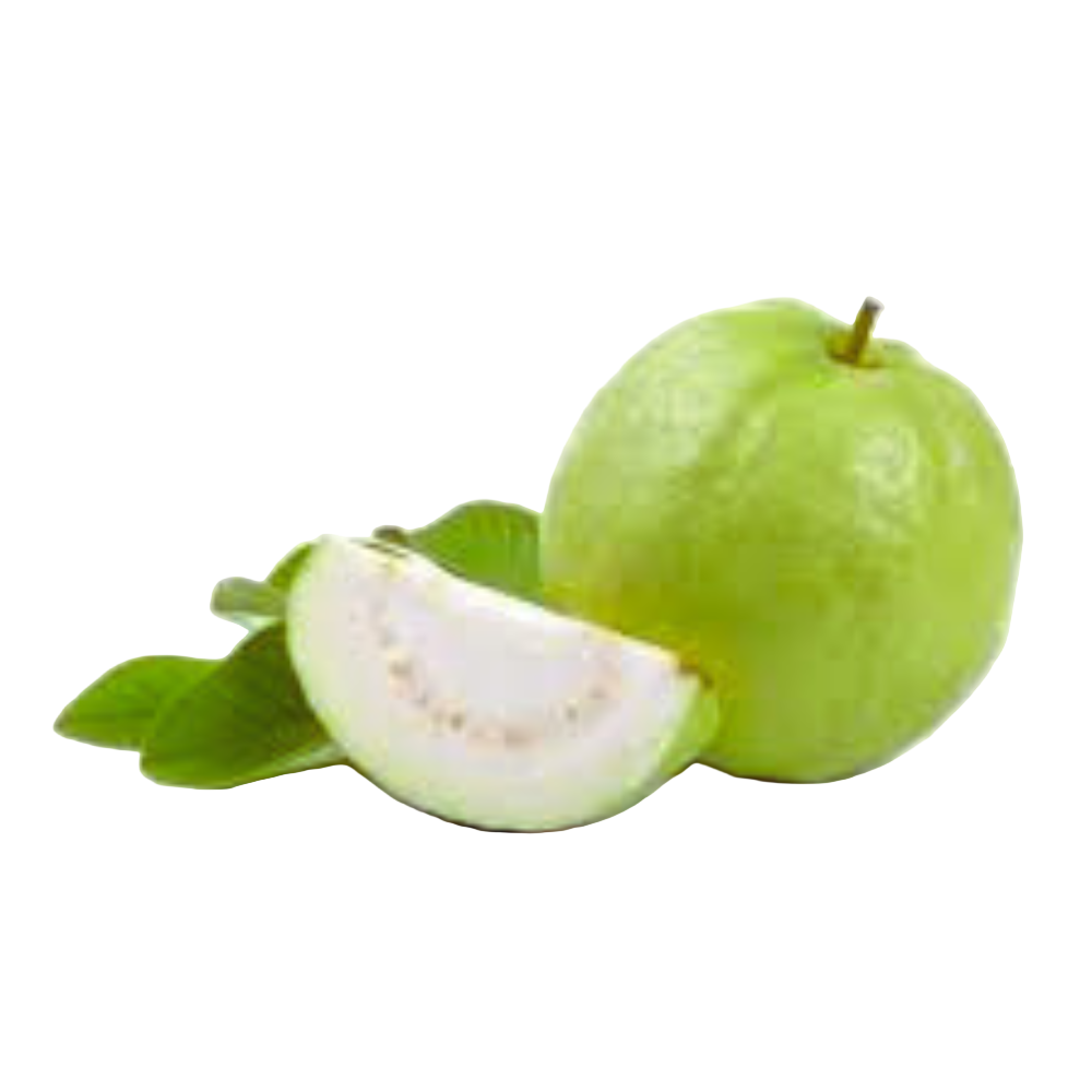 Indian Guava