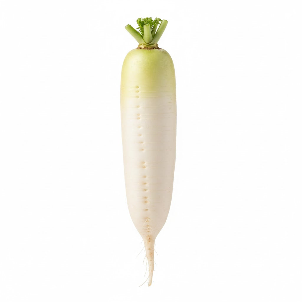 Radish