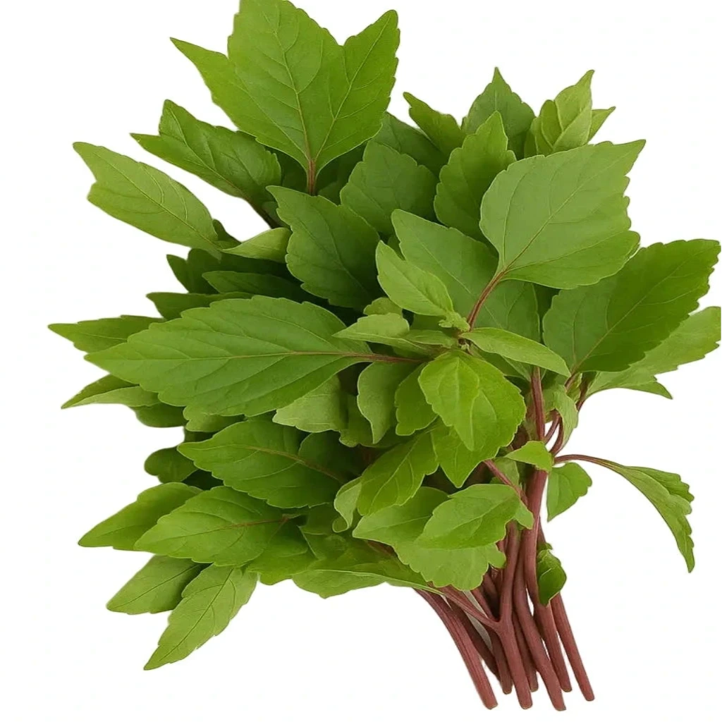Sorrel Leaves (Gongura)