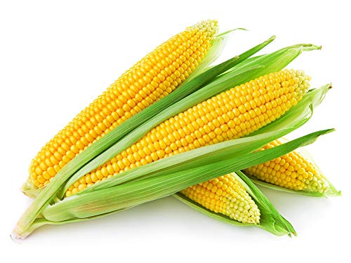 Sweet Corn 1kg