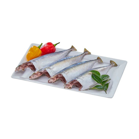 Buy Tasty Nibbles Frozen Mackerel 600g  online at the best price from FAIRMART.